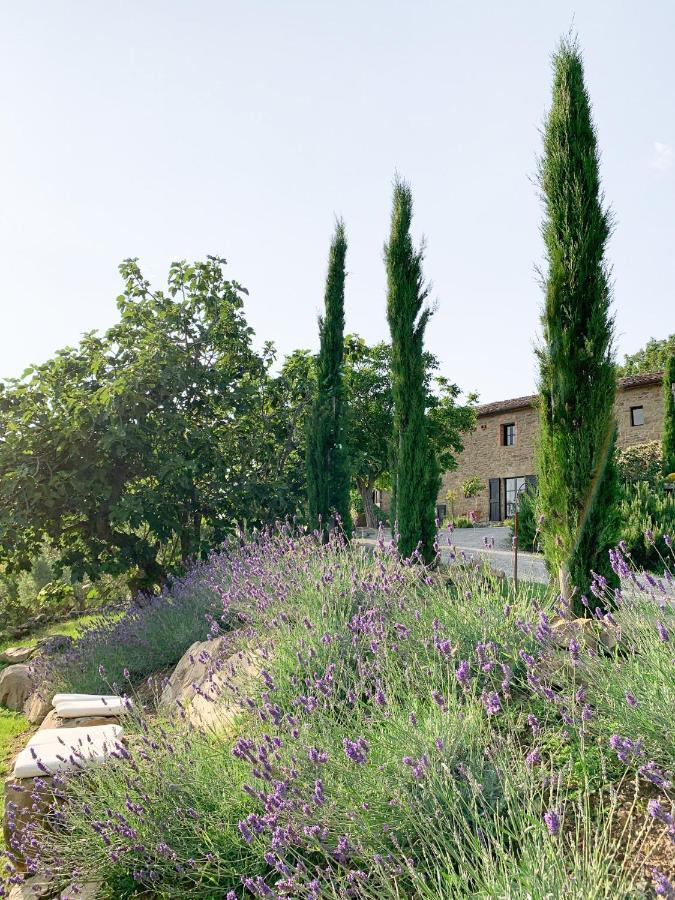 Villa Montanare Cortona Zewnętrze zdjęcie