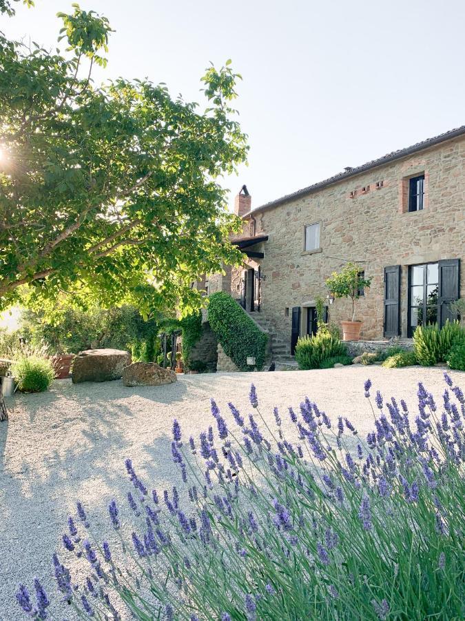 Villa Montanare Cortona Zewnętrze zdjęcie