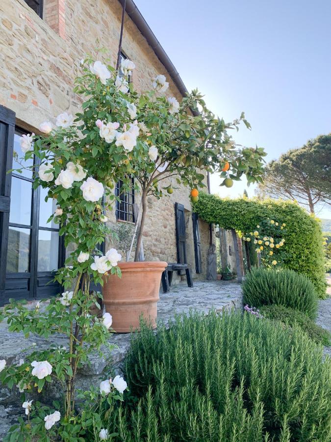 Villa Montanare Cortona Zewnętrze zdjęcie