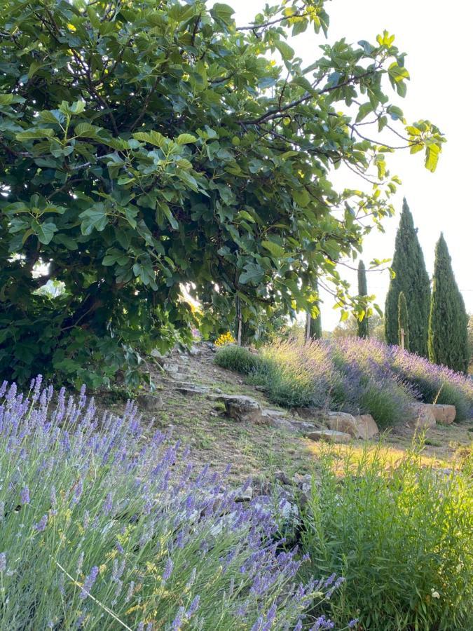 Villa Montanare Cortona Zewnętrze zdjęcie