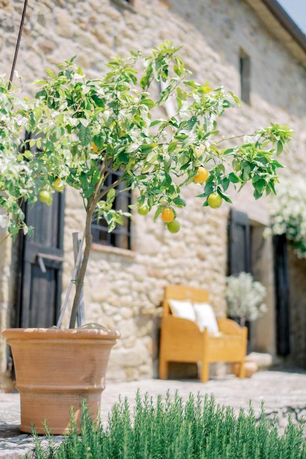 Villa Montanare Cortona Zewnętrze zdjęcie